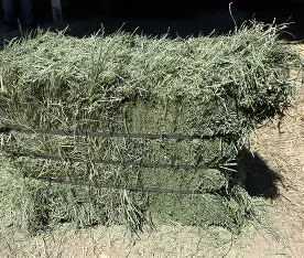 Alfalfa Hay Pack